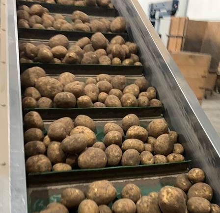 Ziemniaki Słomków Suchy